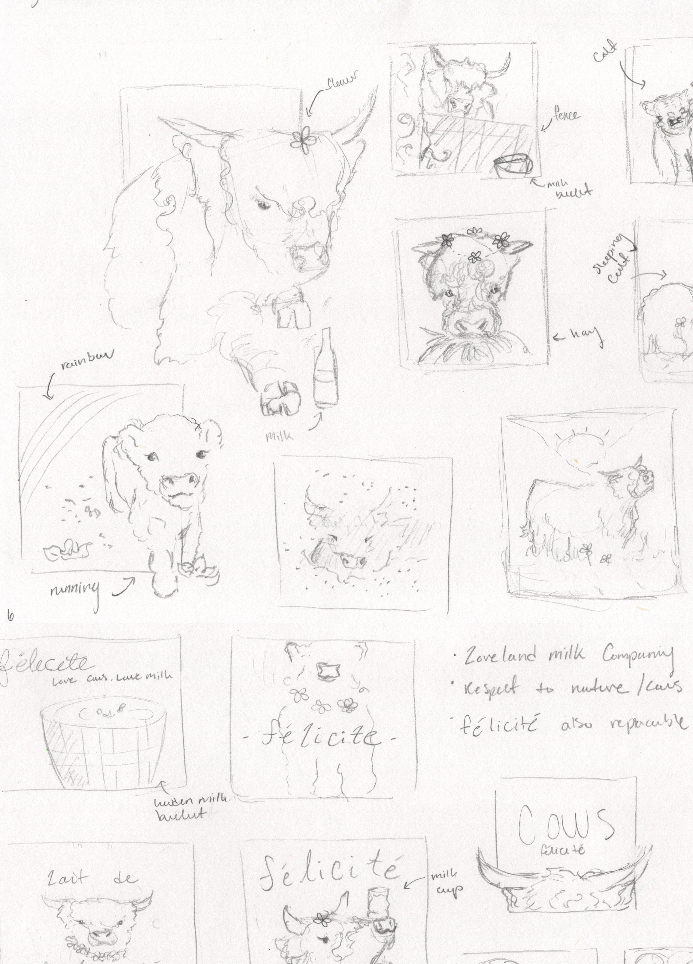 cow sketches